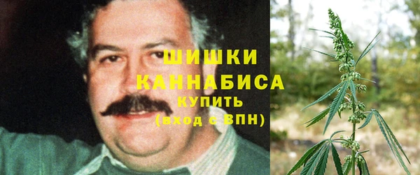 прущий лед Бородино